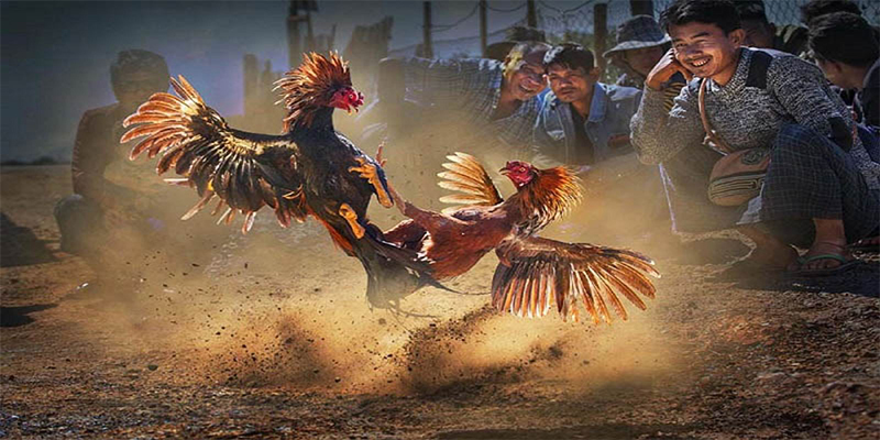 vietjack 7 chơi bắn cá đổi thưởng