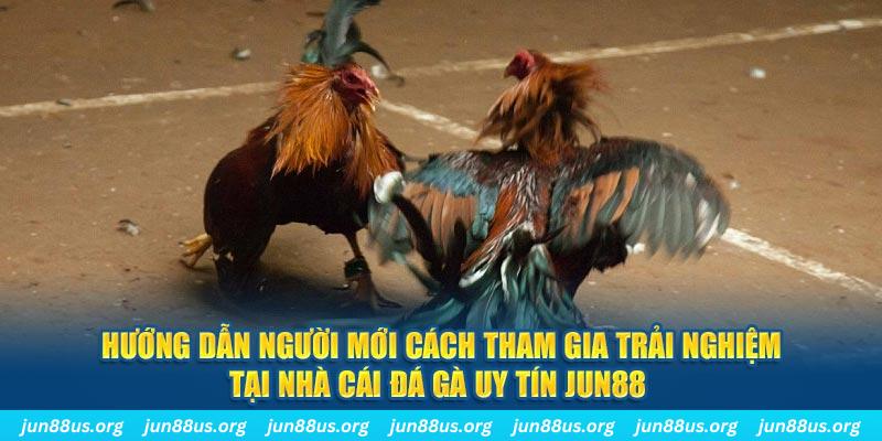 vietjack 7 CQ9 Điện Tử