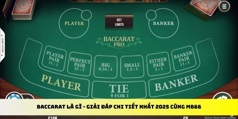 vietjack 7 gà chọi cu cần