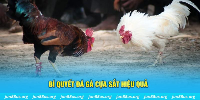 vietjack 7 xin 1 slot là gì
