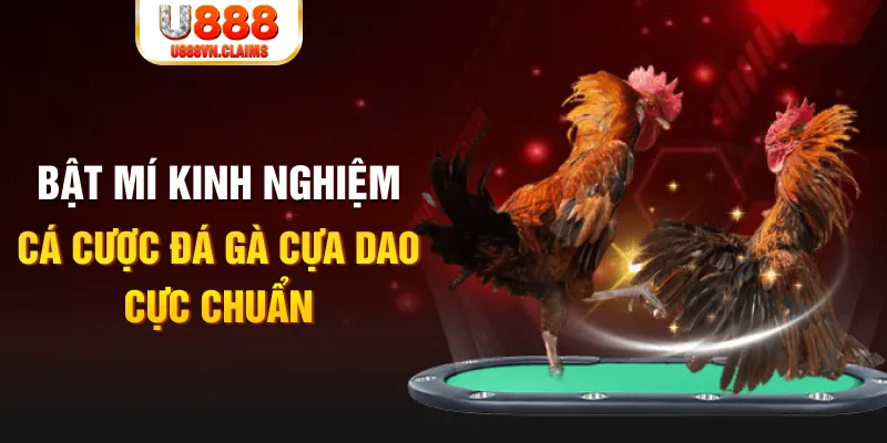 vietjack 7 tỷ lệ cá cược châu á là gì
