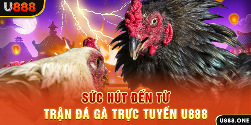 vietjack 7 nổ hũ b29 là gì