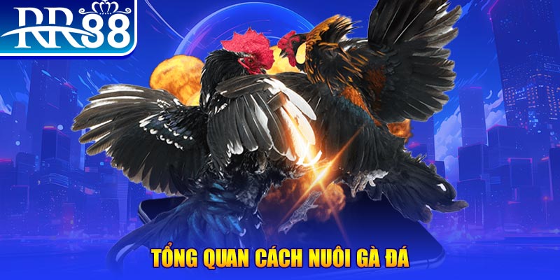 vietjack 7 VA Điện Tử