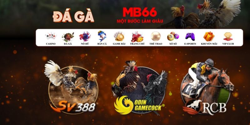 vietjack 7 đăng nhập poker số 1