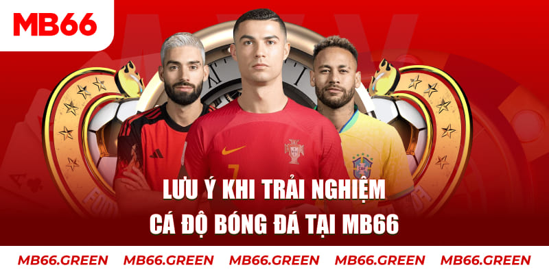 vietjack 7 cá cược là gì