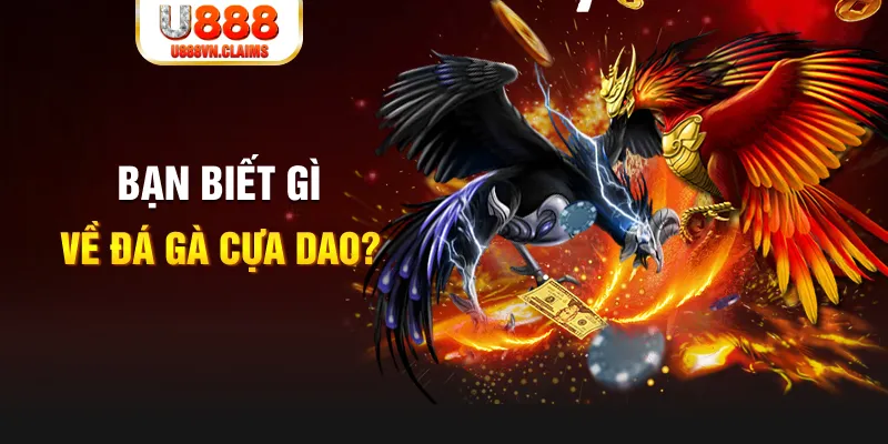 vietjack 7 nổ hủ là gì