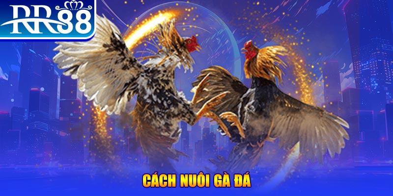 vietjack 7 xổ số an giang
