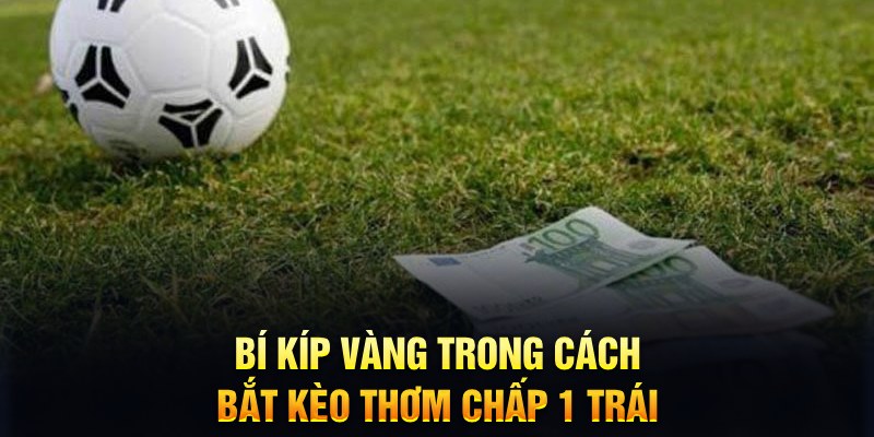 vietjack 7 xổ số thứ tư hàng tuần