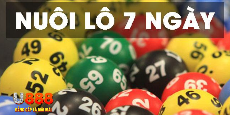 vietjack 7 slot là j
