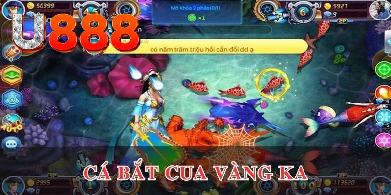 vietjack 7 kết quả xổ số hôm nay