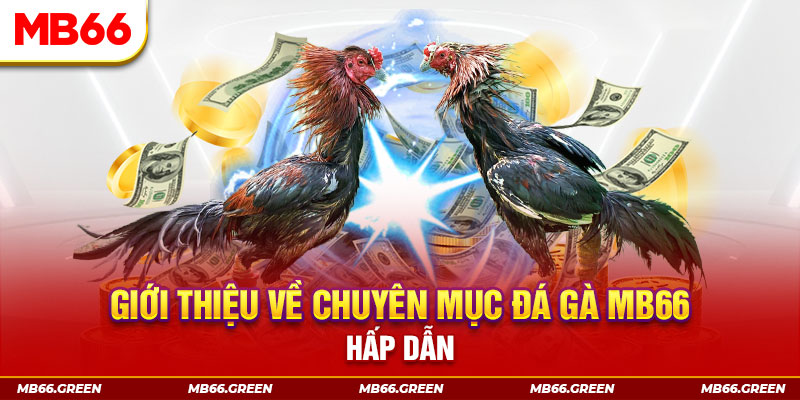 vietjack 7 đăng nhập sòng bạc đổi thưởng