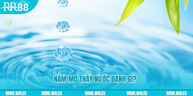 vietjack 7 TP Bắn cá