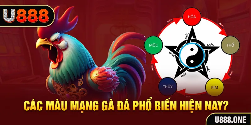 vietjack 7 trực tiếp đá gà 88