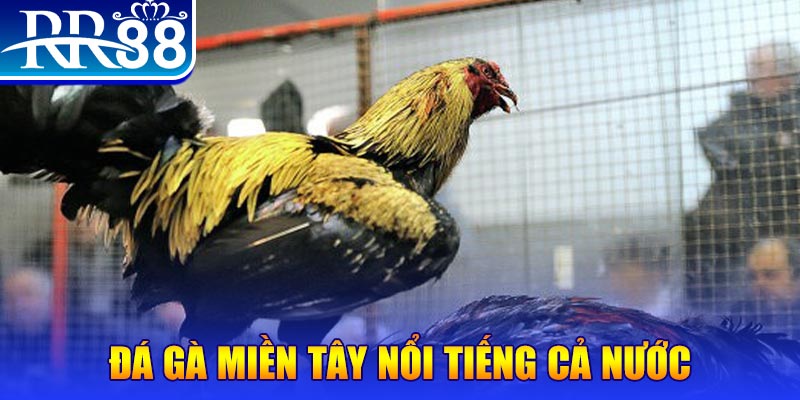 vietjack 7 JILI Game Bài 3d