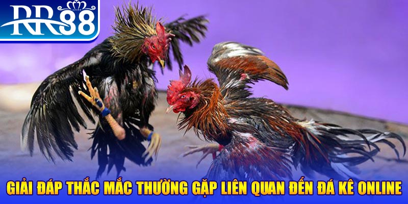 vietjack 7 slot machine là gì