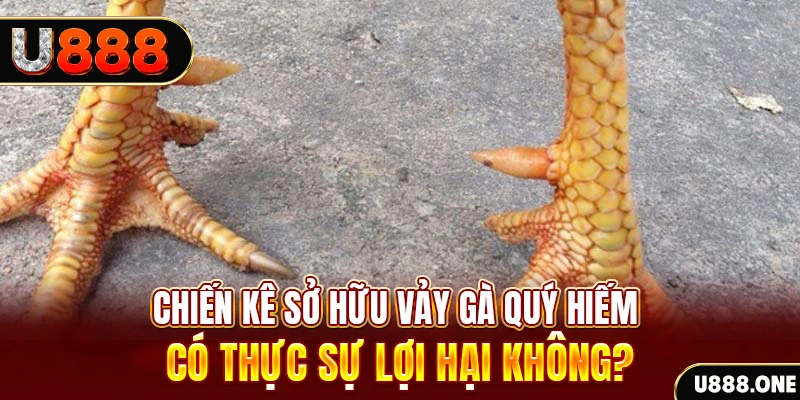 vietjack 7 nohu .mx nổ hủ là gì