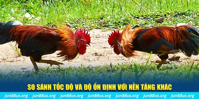 vietjack 7 đá gà hôm nay