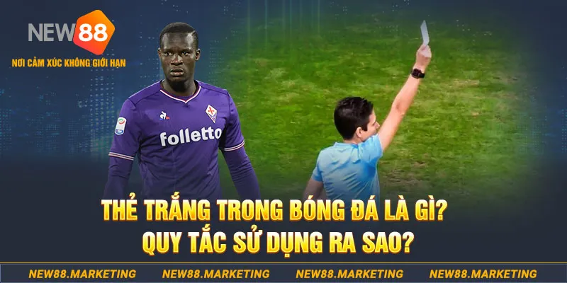 vietjack 7 gà chọi mộc hóa