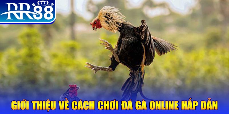 vietjack 7 game nổ hũ rút tiền mặt là gì