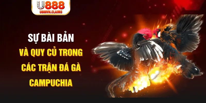 vietjack 7 YGR Điện Tử