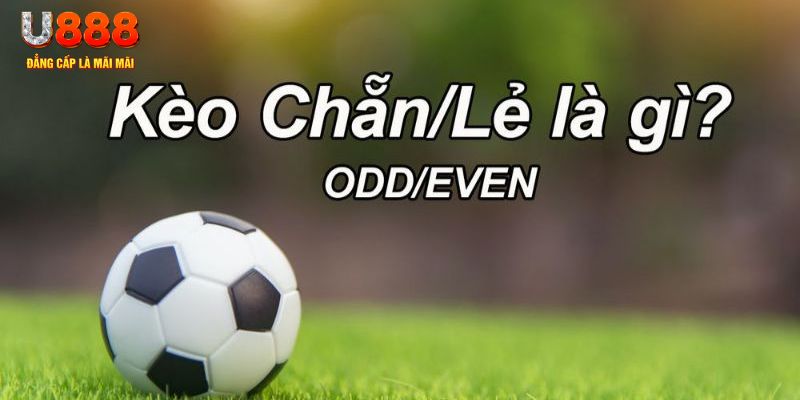 vietjack 7 đăng nhập poker hôm nay