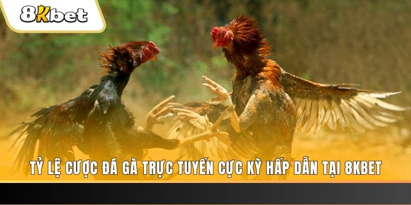 vietjack 7 xổ số trực tiếp miền bắc