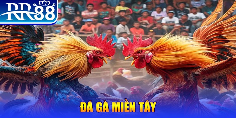 vietjack 7 chơi slot là gì