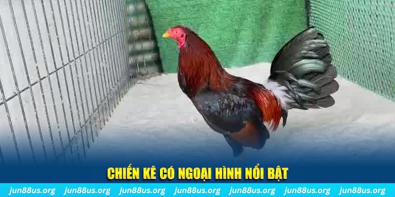 vietjack 7 chạy quảng cáo cho game bài bị phạt như thế nào