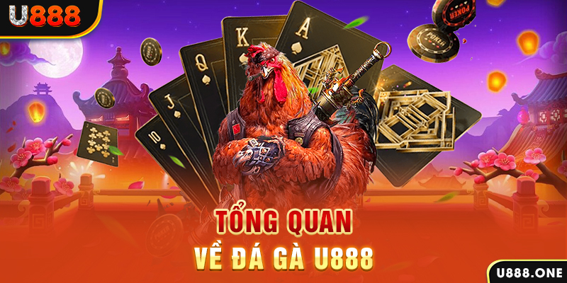 vietjack 7 ILOVEU Điện Tử