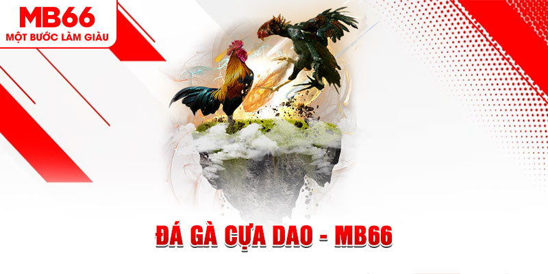 vietjack 7 đá gà sv388 gold